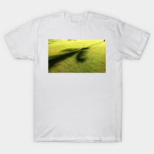 Tree Shadows T-Shirt